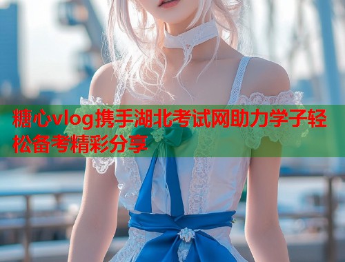 糖心vlog携手湖北考试网助力学子轻松备考精彩分享